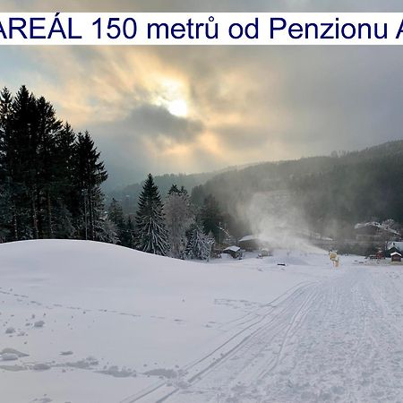 Penzion Alfa Železná Ruda エクステリア 写真