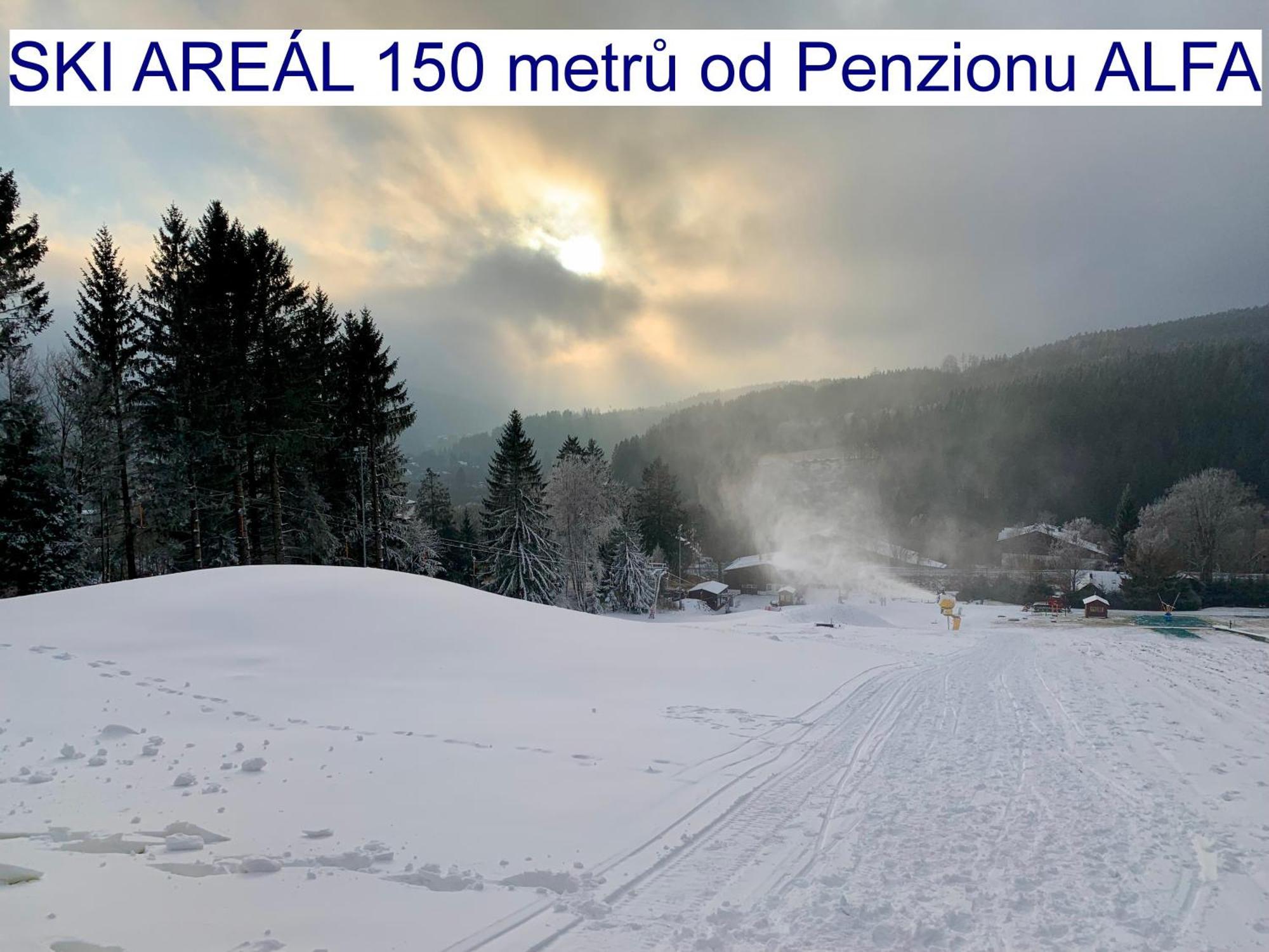 Penzion Alfa Železná Ruda エクステリア 写真